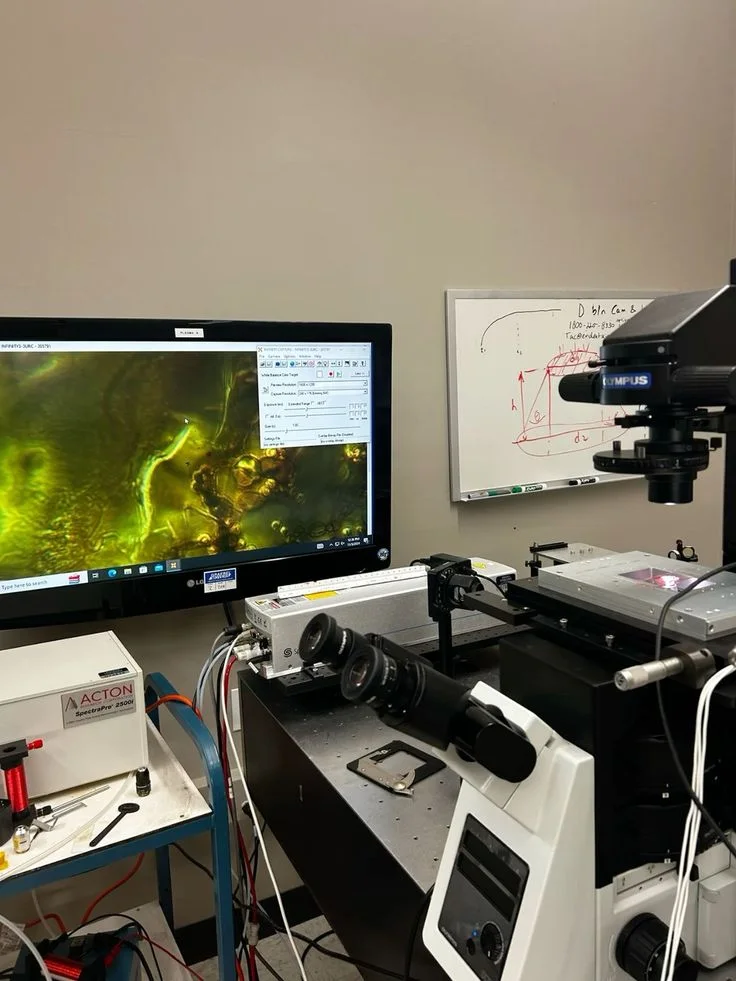 Microscope and a research imaging workstation