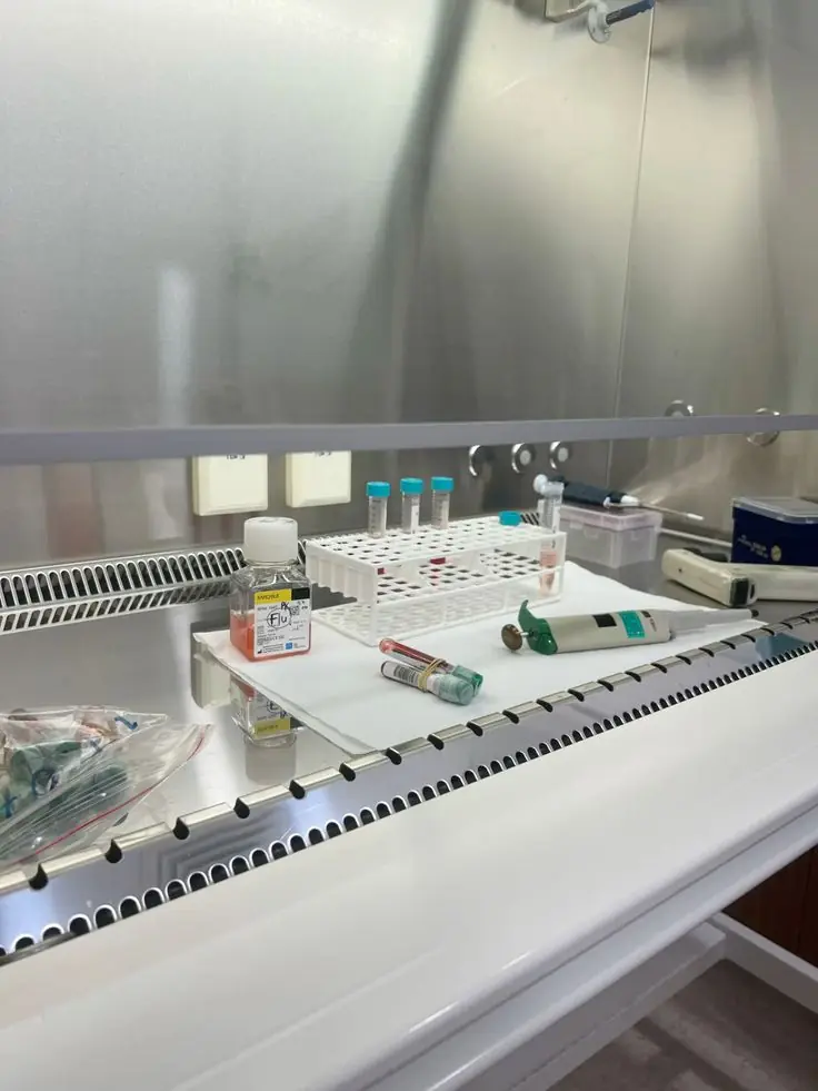 Laboratory equipment under bright clinical light