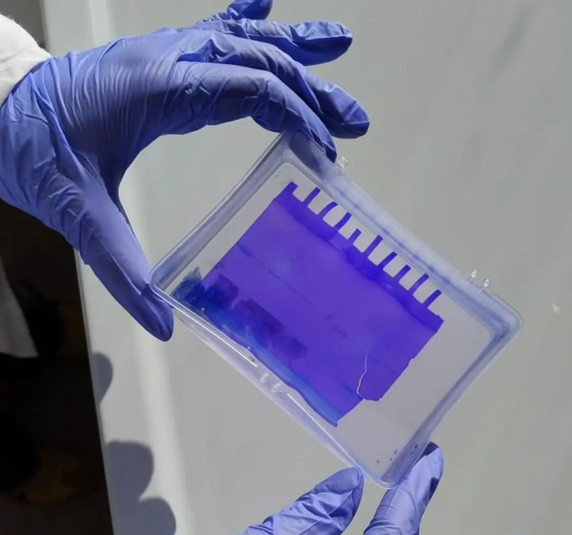 Laboratory bench and research equipment